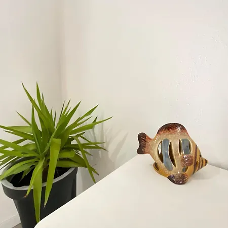 New Luztur 3min From * Luz